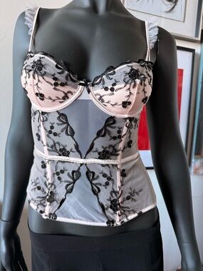 Victoria's Secret Sheer Lace Bustier in Pale Pink and Black Embroidered